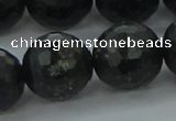 CAE41 15.5 inches 18mm faceted round astrophyllite beads wholesale