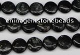 CAE44 15.5 inches 10mm flat round astrophyllite beads wholesale