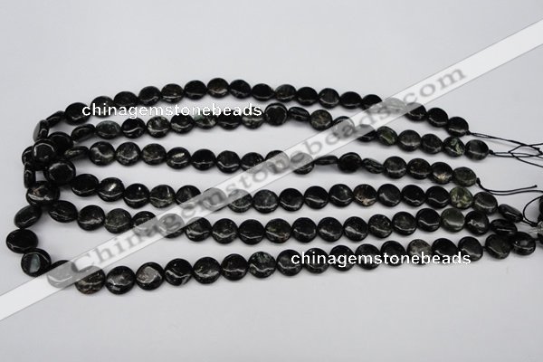 CAE44 15.5 inches 10mm flat round astrophyllite beads wholesale