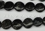 CAE45 15.5 inches 12mm flat round astrophyllite beads wholesale