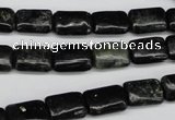 CAE88 15.5 inches 8*12mm rectangle astrophyllite beads wholesale