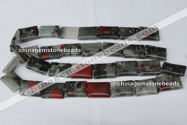 CAF02 15.5 inches 18*25mm rectangle African bloodstone beads