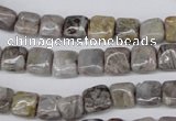 CAG1439 15.5 inches 8*8mm square bamboo leaf agate beads