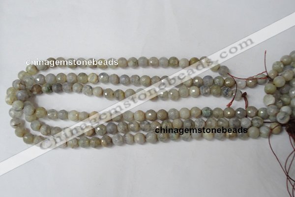 CAG1505 15.5 inches 8mm faceted round fire crackle agate beads