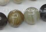 CAG1827 15.5 inches 18mm round Chinese botswana agate beads