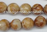 CAG1889 15.5 inches 14mm faceted round lemon crazy lace agate beads