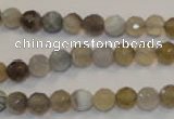 CAG2421 15.5 inches 6mm faceted round Chinese botswana agate beads