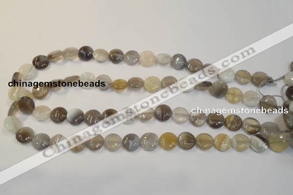 CAG2435 15.5 inches 12mm flat round Chinese botswana agate beads