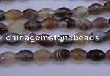 CAG2755 15.5 inches 5*8mm faceted rice botswana agate beads wholesale