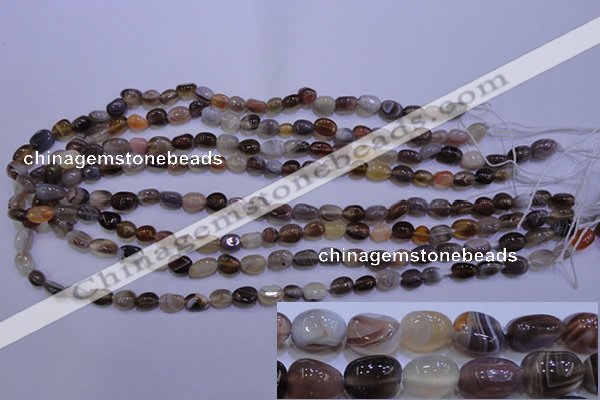 CAG2770 15.5 inches 6*8mm nuggets botswana agate beads wholesale