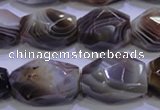 CAG2775 15.5 inches 14*20mm faceted nuggets botswana agate beads wholesale