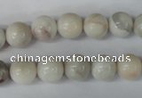 CAG3604 15.5 inches 10mm round natural crazy lace agate beads