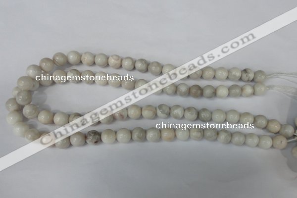 CAG3604 15.5 inches 10mm round natural crazy lace agate beads