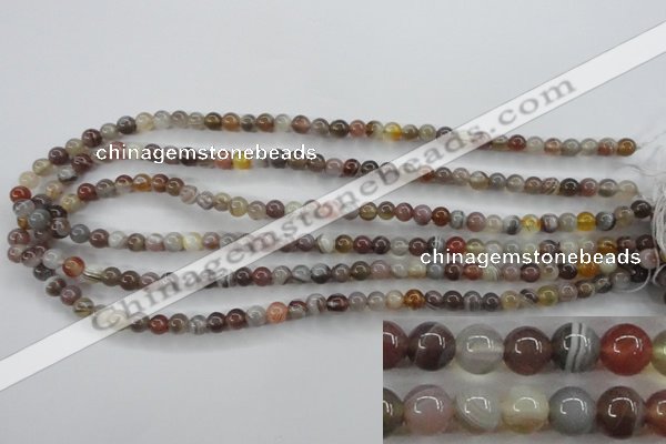 CAG3681 15.5 inches 6mm round botswana agate beads wholesale