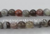 CAG3682 15.5 inches 8mm round botswana agate beads wholesale