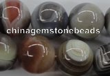 CAG3688 15.5 inches 20mm round botswana agate beads wholesale