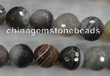 CAG3694 15.5 inches 12mm faceted round botswana agate beads wholesale