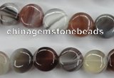 CAG3713 15.5 inches 12mm flat round botswana agate beads wholesale