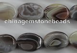 CAG3723 15.5 inches 13*18mm oval botswana agate beads wholesale