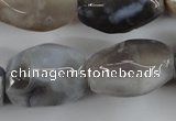 CAG3730 15.5 inches 18*25mm faceted nuggets botswana agate beads