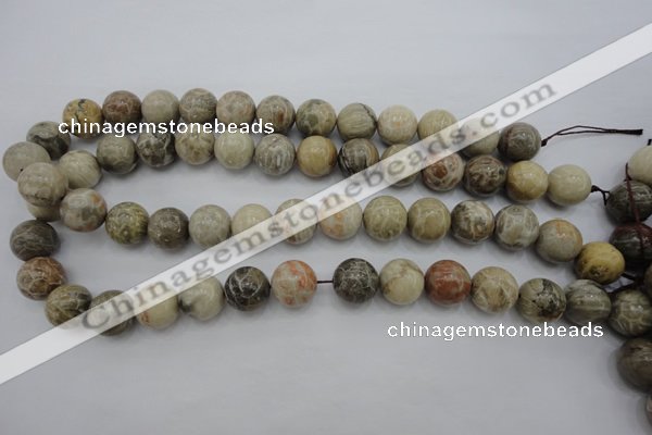 CAG3885 15.5 inches 14mm round chrysanthemum agate beads