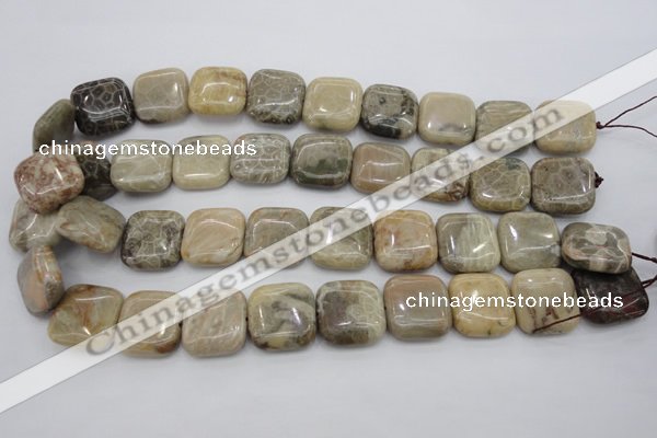 CAG3898 15.5 inches 20*20mm square chrysanthemum agate beads