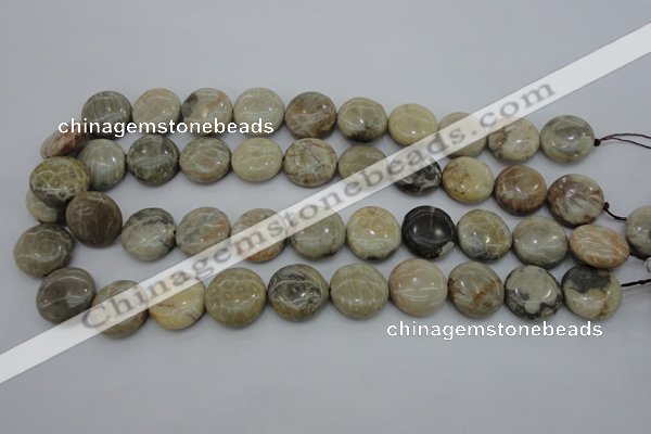 CAG3907 15.5 inches 18mm flat round chrysanthemum agate beads