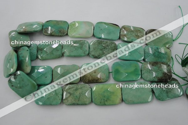 CAG3938 15.5 inches 22*30mm faceted rectangle green grass agate beads