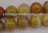 CAG4325 15.5 inches 14mm round botswana agate gemstone beads