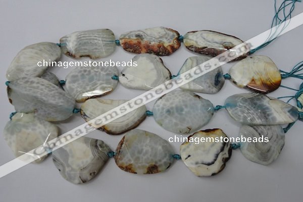 CAG5536 15.5 inches 25*30mm - 25*48mm freeform agate gemstone beads