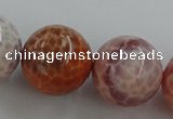 CAG5567 15.5 inches 18mm round natural fire agate beads wholesale