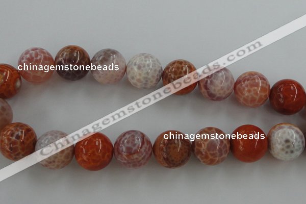 CAG5567 15.5 inches 18mm round natural fire agate beads wholesale