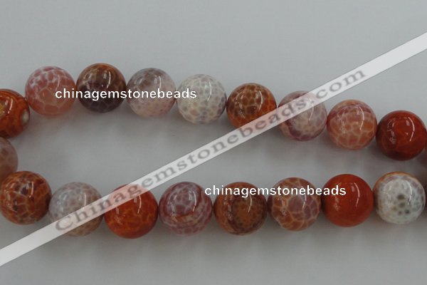 CAG5568 15.5 inches 20mm round natural fire agate beads wholesale