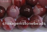 CAG6113 15.5 inches 10mm round south red agate gemstone beads