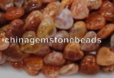 CAG628 15.5 inches 10*10mm heart natural fire agate beads wholesale