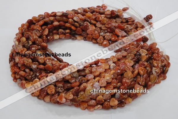 CAG628 15.5 inches 10*10mm heart natural fire agate beads wholesale