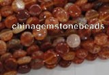 CAG629 15.5 inches 8mm coin natural fire agate beads wholesale