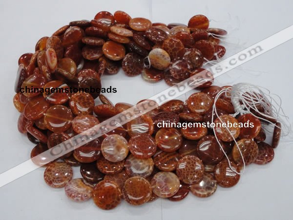 CAG631 15.5 inches 14mm coin natural fire agate beads wholesale