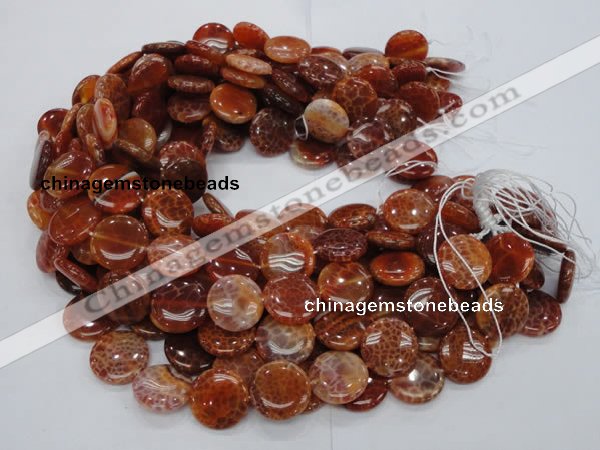 CAG632 15.5 inches 20mm coin natural fire agate beads wholesale