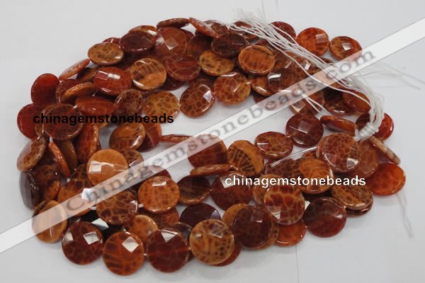 CAG638 15.5 inches 16mm faceted coin natural fire agate beads