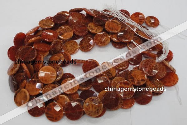 CAG639 15.5 inches 20mm faceted coin natural fire agate beads