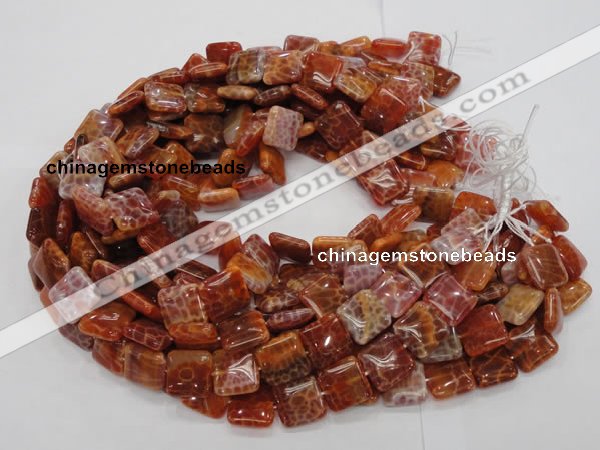 CAG645 15.5 inches 20mm square natural fire agate beads wholesale