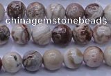 CAG6660 15.5 inches 4mm round Mexican crazy lace agate beads