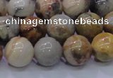 CAG6673 15.5 inches 10mm round natural crazy lace agate beads