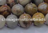 CAG6674 15.5 inches 12mm round natural crazy lace agate beads