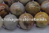 CAG6675 15.5 inches 14mm round natural crazy lace agate beads