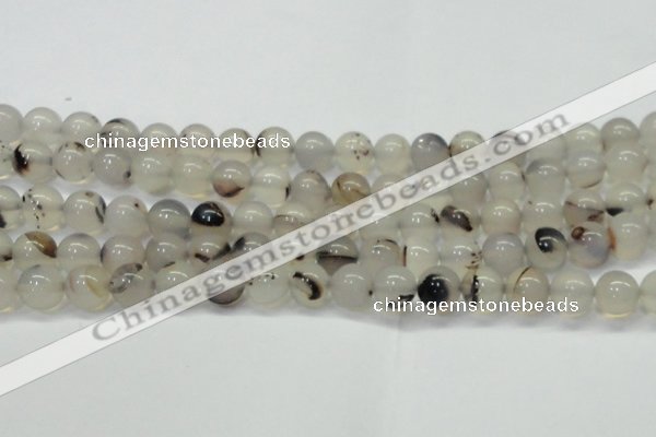 CAG6760 15 inches 6mm round Montana agate beads wholesale