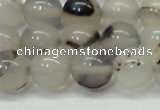 CAG6761 15 inches 8mm round Montana agate beads wholesale