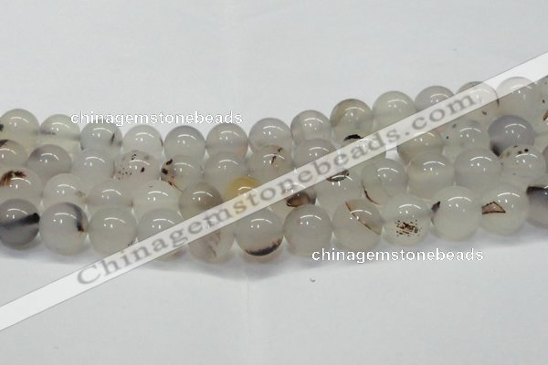 CAG6762 15 inches 10mm round Montana agate beads wholesale