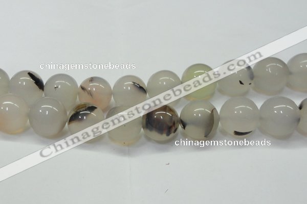 CAG6765 15 inches 16mm round Montana agate beads wholesale